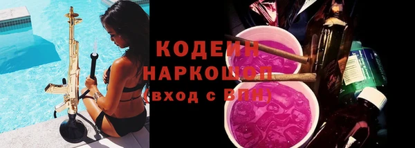 соль ск Бородино