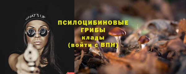соль ск Бородино
