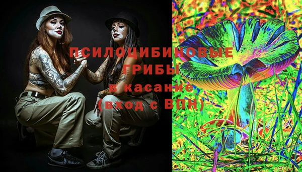 соль ск Бородино