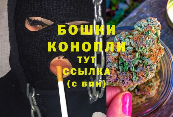 соль ск Бородино