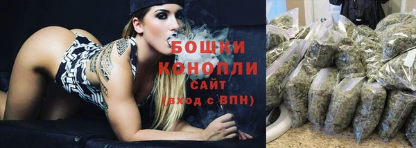 соль ск Бородино